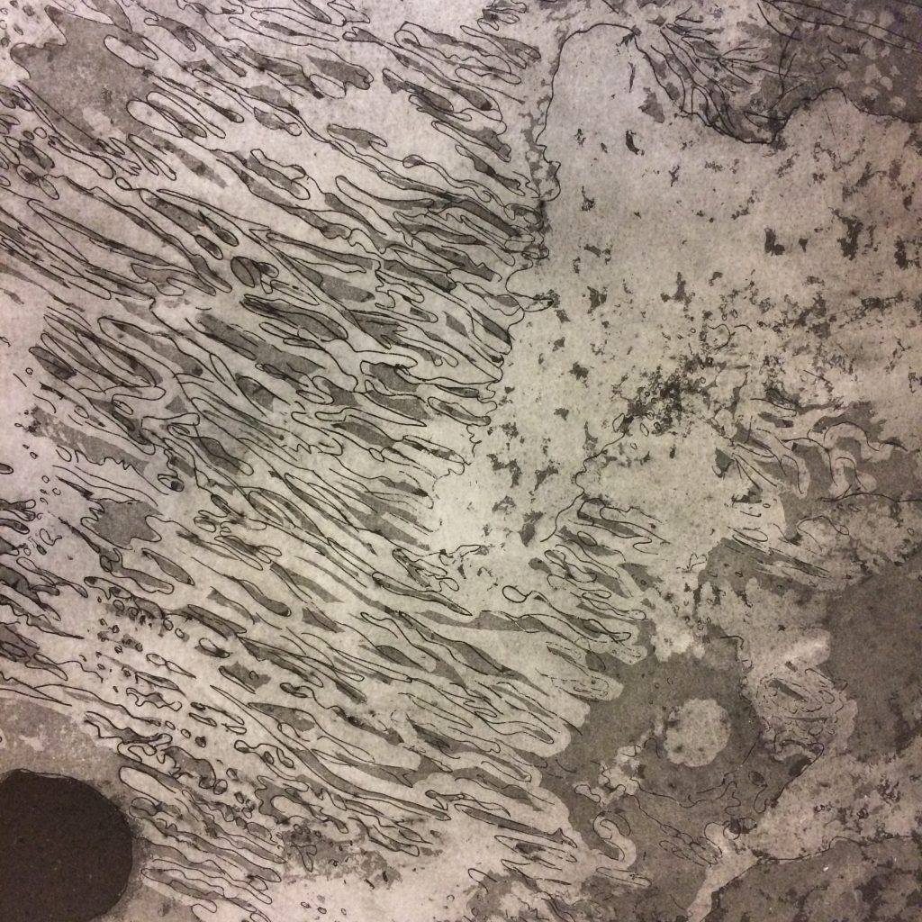 Yüzleşme 2, Gravür, 33x50 cm, 2017 (Detail 3)